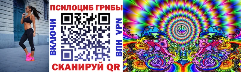 закладки  Чекалин  Галлюциногенные грибы мицелий 